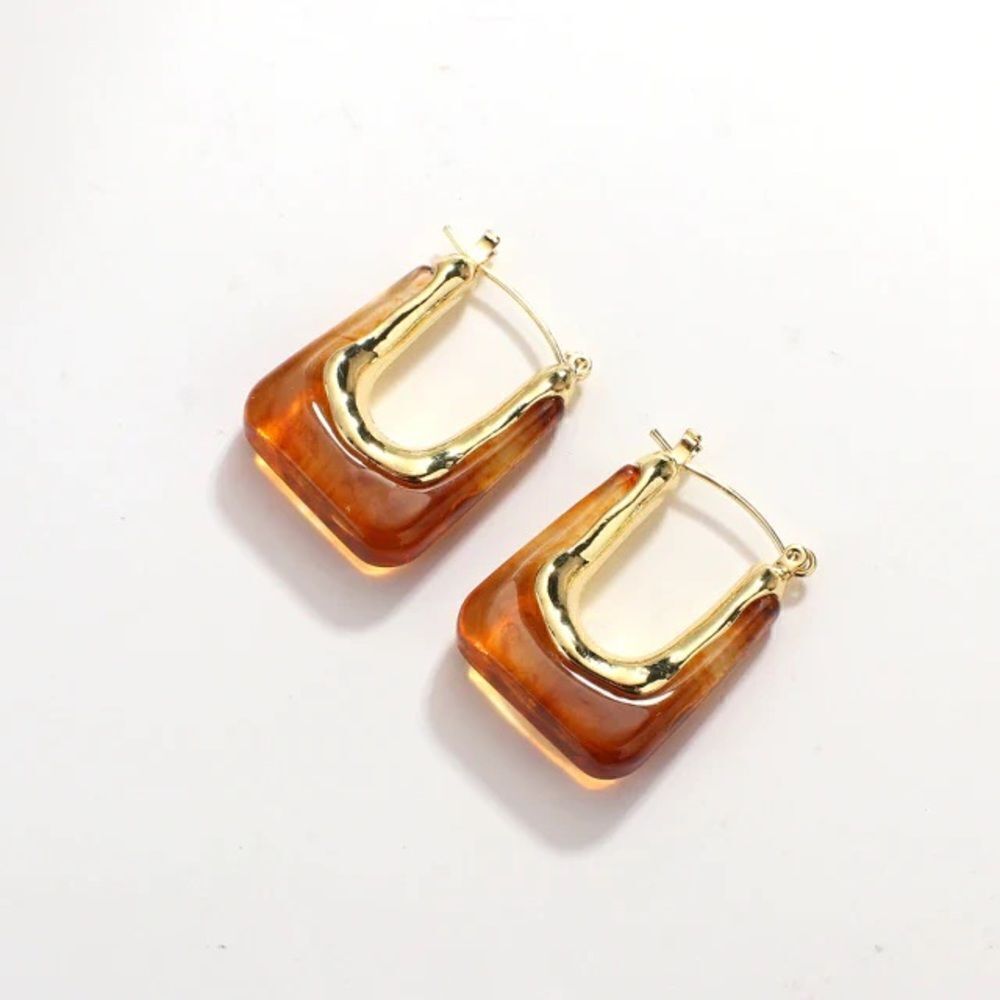 Brown Crystal Hoop Earringsn948